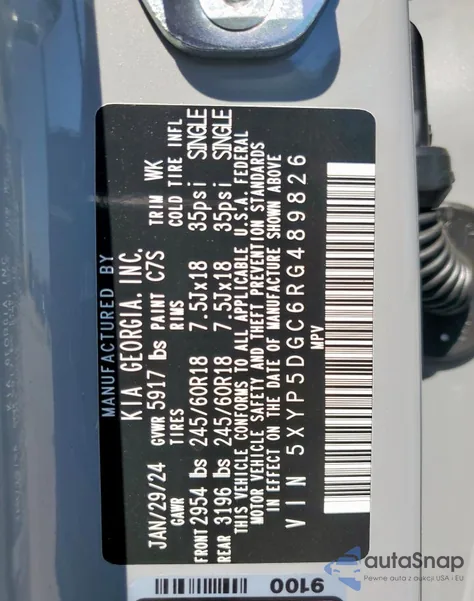 2024 Kia Telluride Sx from USA, damaged, VIN 5XYP5DGC6RG489826